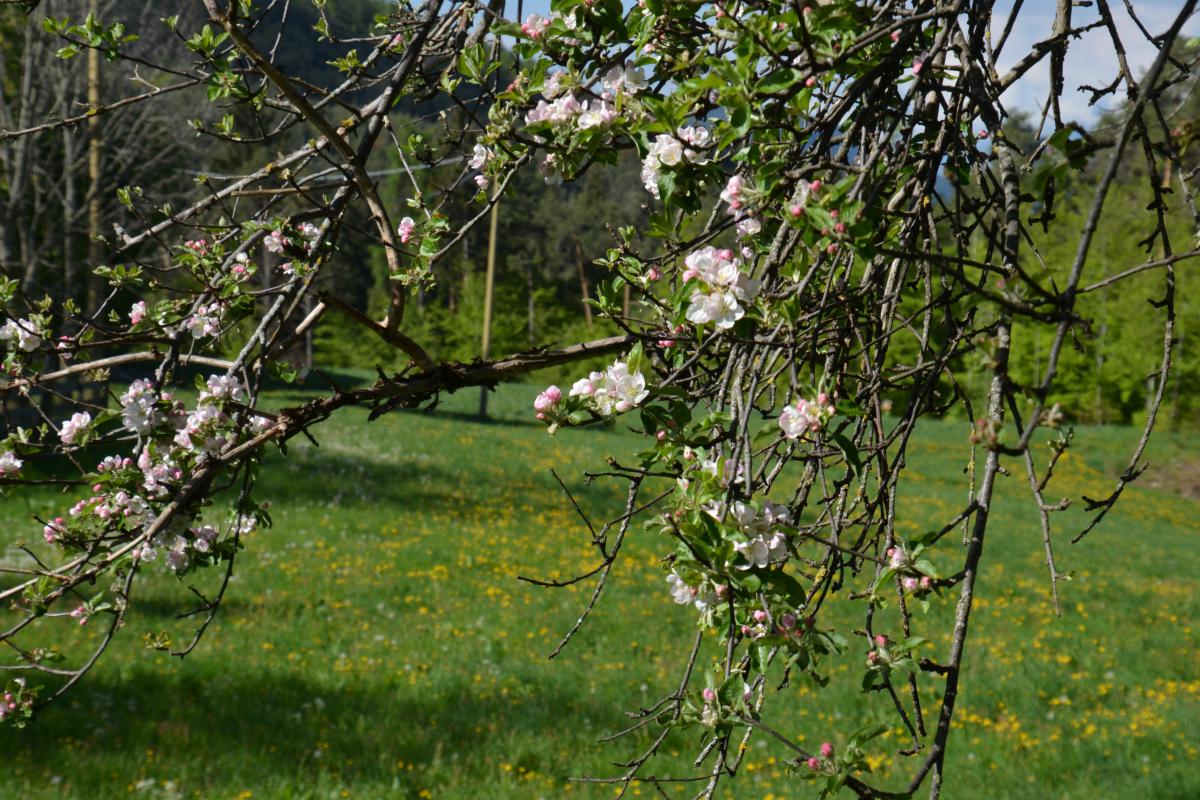Loosmannhof 10.05.2024